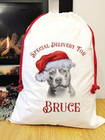 Special delivery pit bull Santa sack