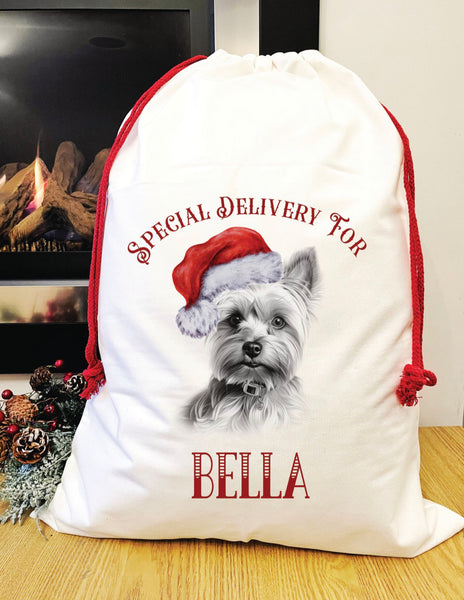 Special delivery Yorkshire terrier Santa sack