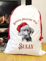 Special delivery Labrador Santa sack