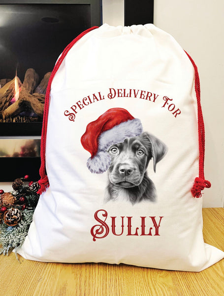 Special delivery Labrador Santa sack