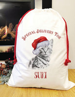 Special delivery Bengal Santa sack