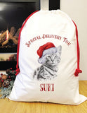 Special delivery Bengal Santa sack