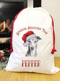 Special delivery whippet Santa Savi