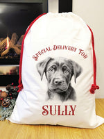 Special delivery Labrador Santa sack