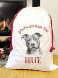 Special delivery pit bull Santa sack