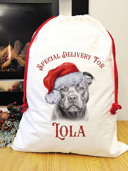 Special delivery staffy Santa sack