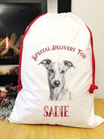 Special delivery whippet Santa Savi