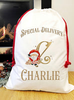 Special Delivery Santa sack