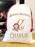 Special Delivery Santa sack