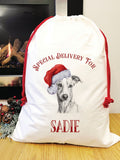 Special delivery whippet Santa Savi