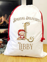 Special Delivery Santa sack