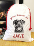 Special delivery Rottweiler Santa sack