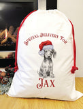 Special delivery Daschund Santa sack