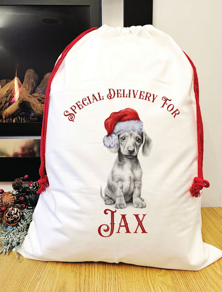 Special delivery Daschund Santa sack