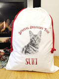 Special delivery Bengal Santa sack