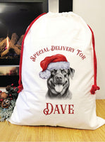 Special delivery Rottweiler Santa sack