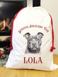 Special delivery staffy Santa sack