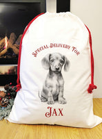 Special delivery Daschund Santa sack